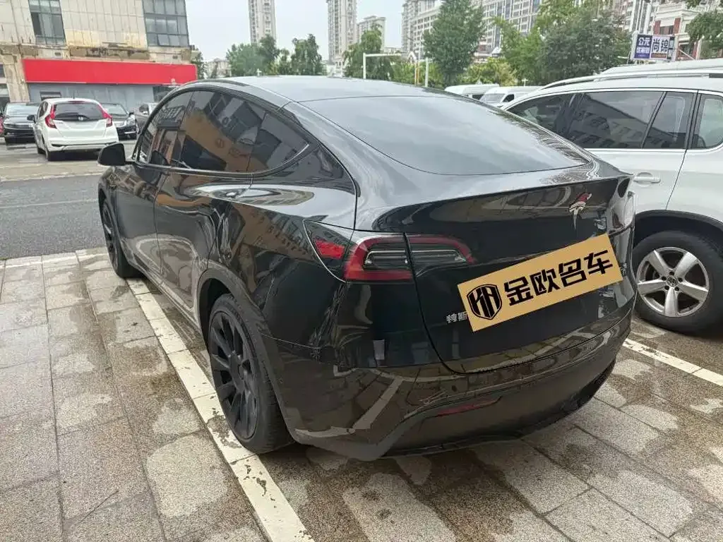 Tesla Model Y — фото 8