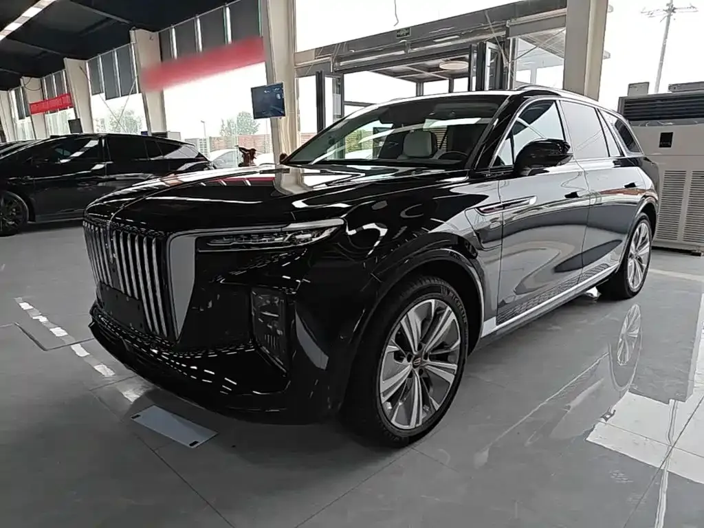 Hongqi E-HS9 — фото 5