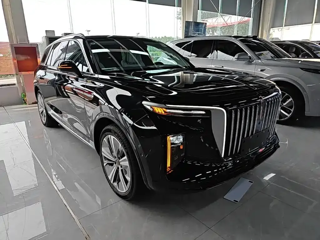 Hongqi E-HS9 — фото 4