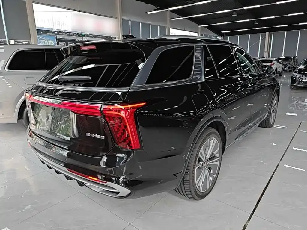Hongqi E-HS9 — фото 8