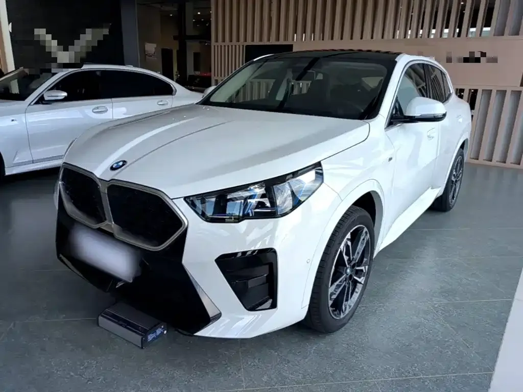 BMW X2 (Import) — фото 10