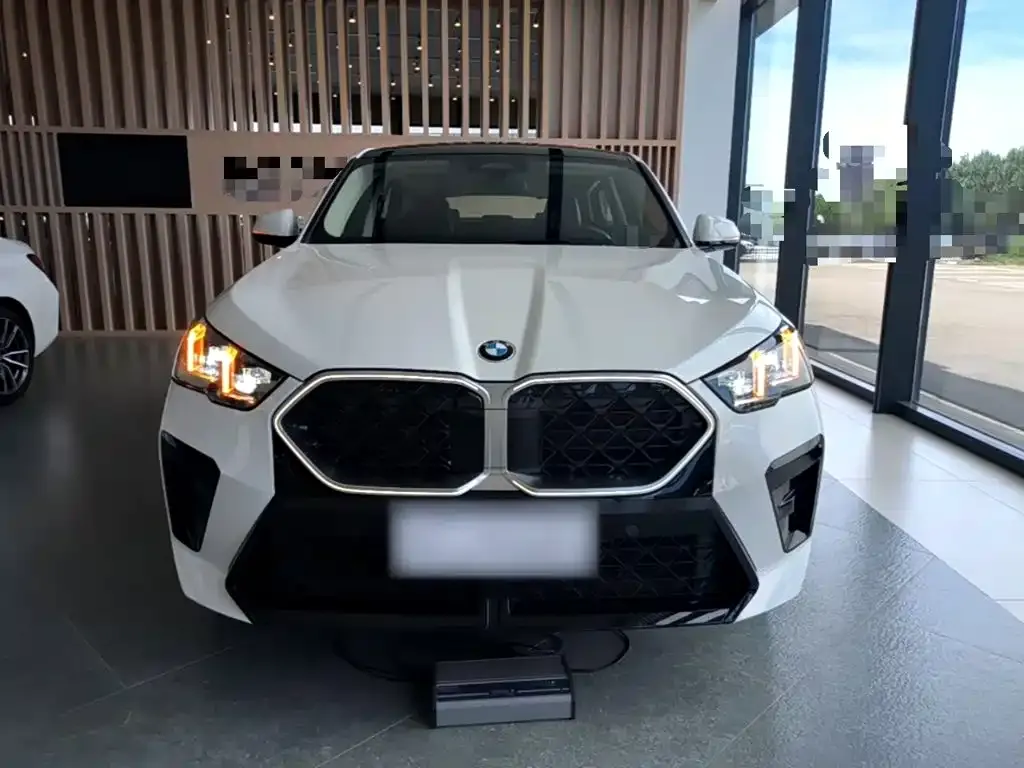 BMW X2 (Import) — фото 2