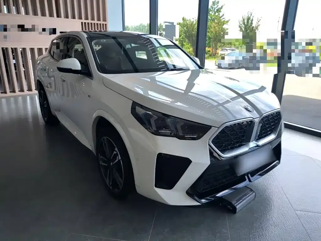 BMW X2 (Import) — фото 6