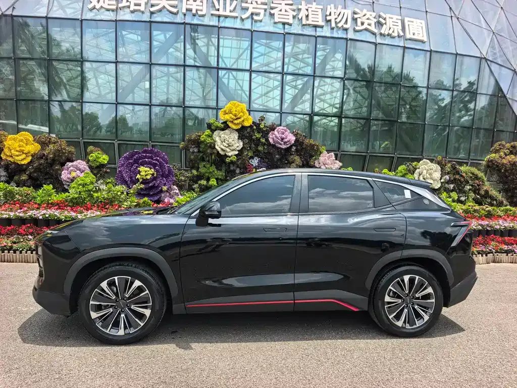 Jetour Dasheng 2023 из CN, фото 10