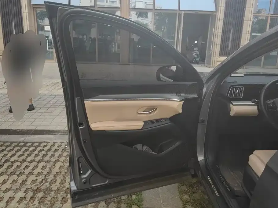 BYD Pro New Energy 2024 из CN, фото 5