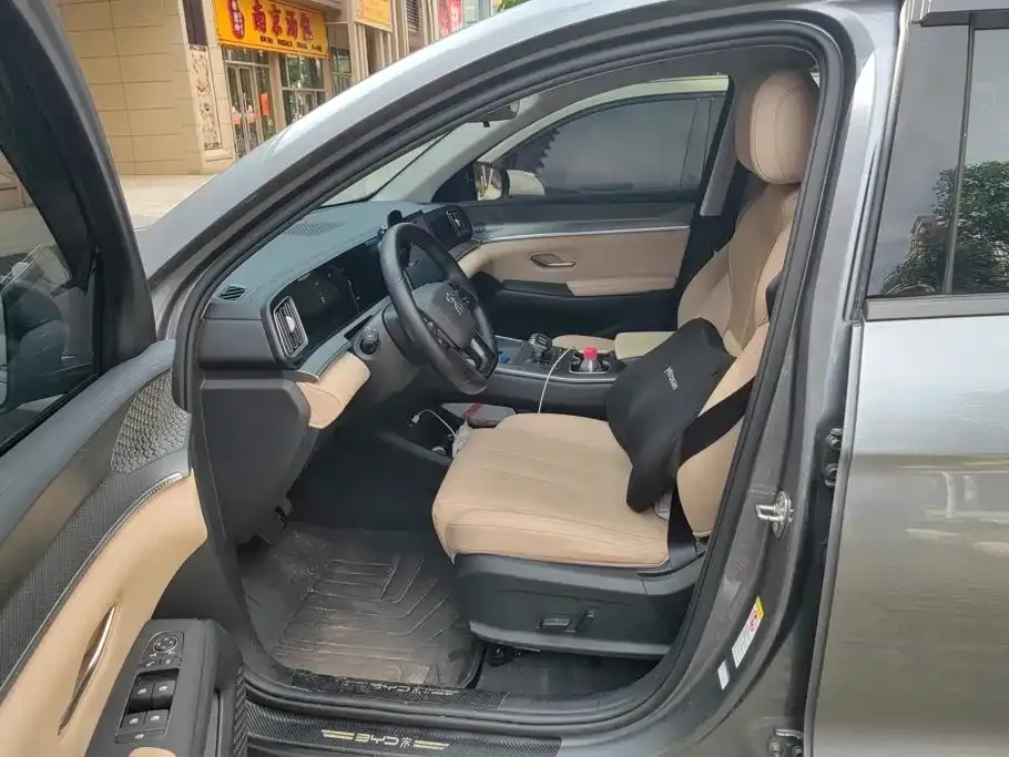 BYD Pro New Energy 2024 из CN, фото 9