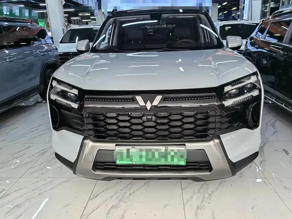Wuling 星光560新能源 — фото 10