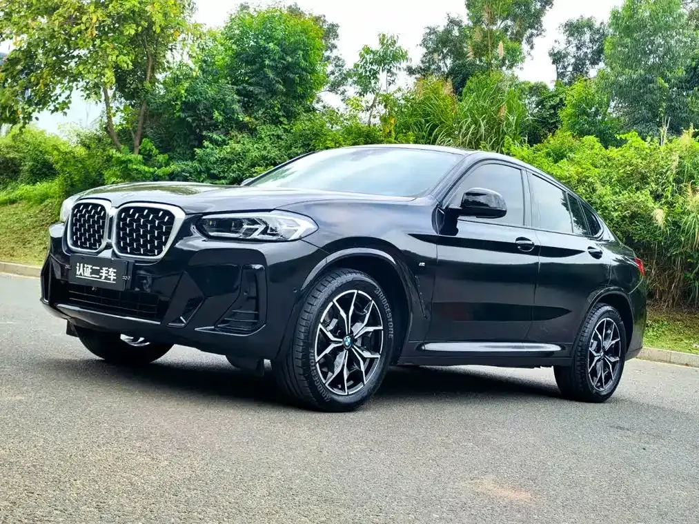 BMW X4 — фото 1