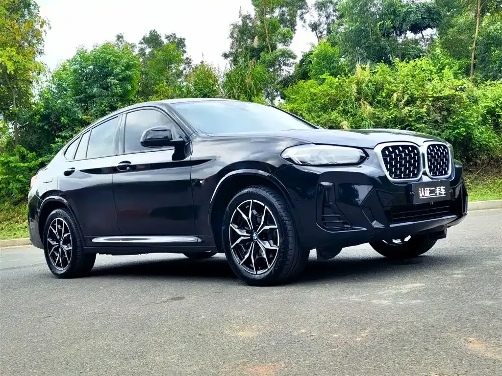 BMW X4 — фото 9