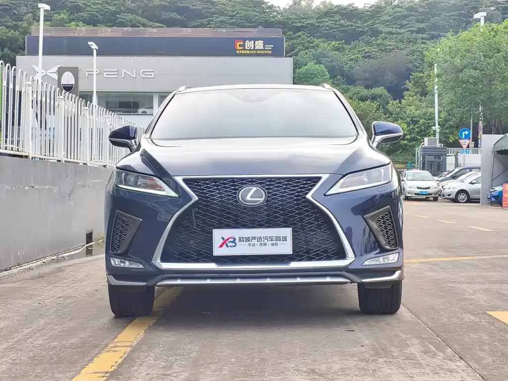 Lexus RX — фото 10