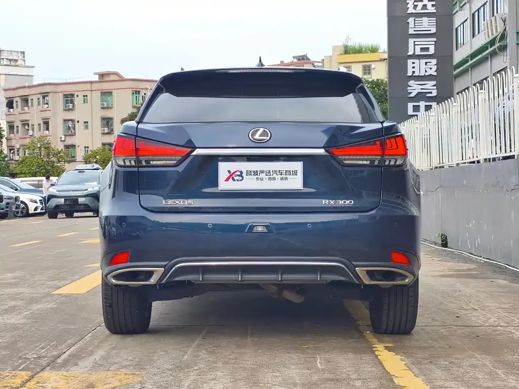 Lexus RX — фото 5