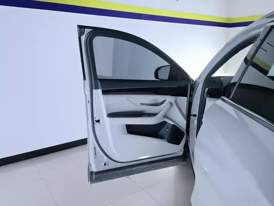 BYD PLUS New Energy — фото 8