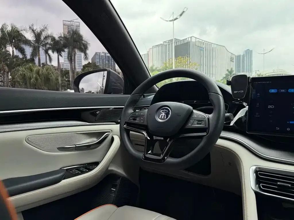 BYD PLUS New Energy — фото 4