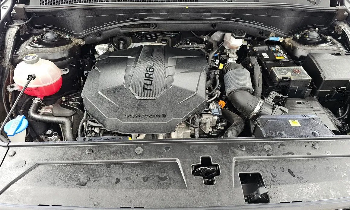 Hyundai Santafe 2023 из KR, фото 10