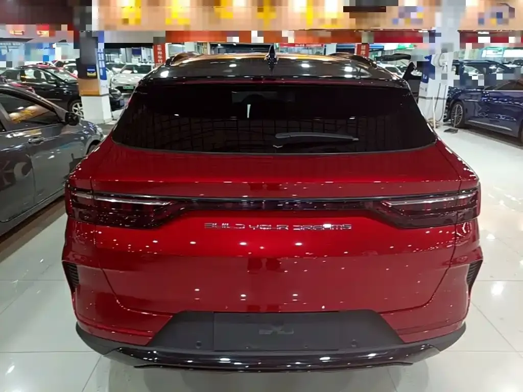 BYD PLUS New Energy — фото 10