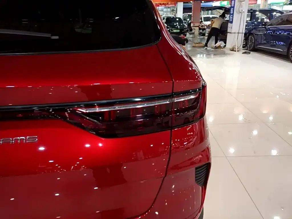 BYD PLUS New Energy — фото 9