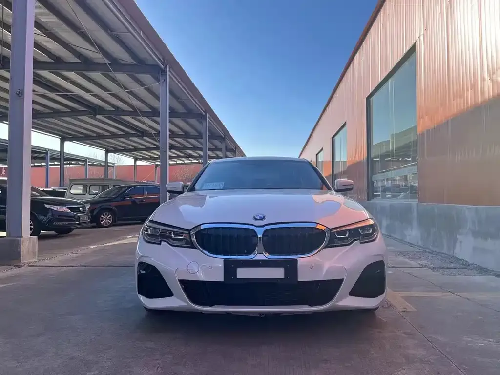 BMW 3 Series 2022 из CN, фото 7