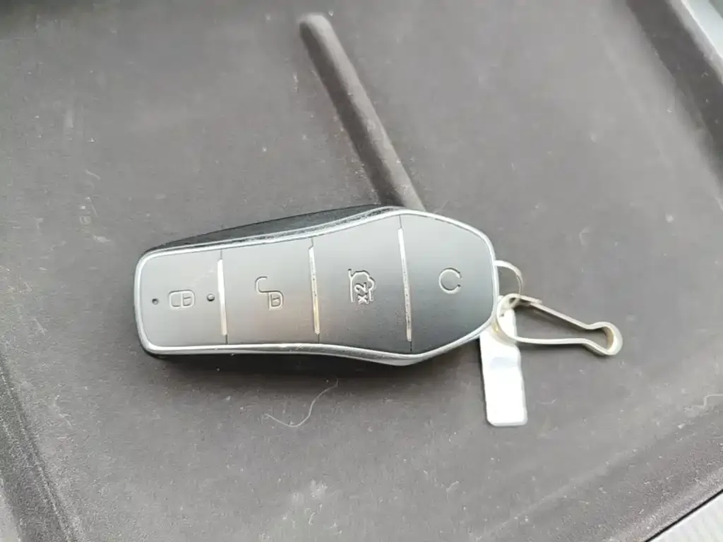 BYD L DM-i — фото 2