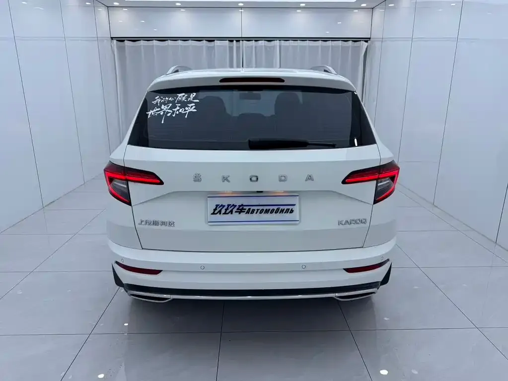 Skoda Karoq 2022 из CN, фото 4