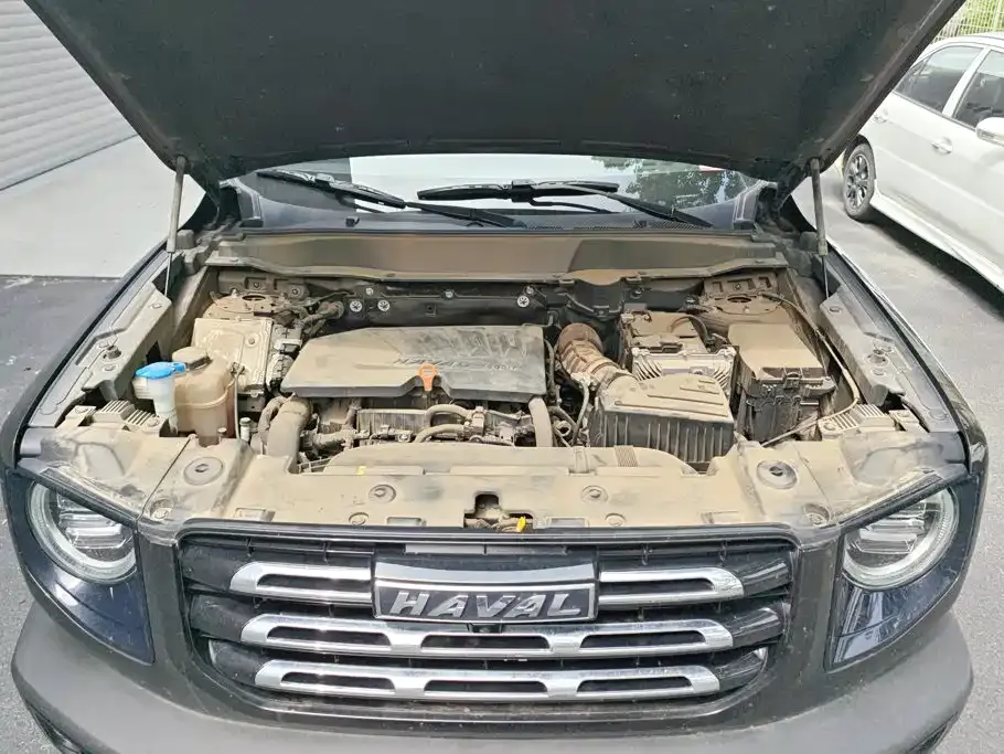 Haval Big Dog — фото 10