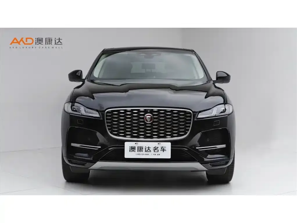 Jaguar F-PACE — фото 9