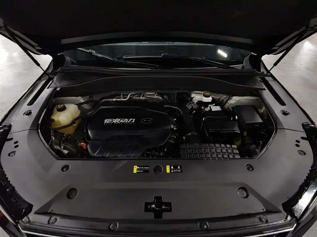 GAC Motor Trumpchi GS8 2023 из CN, фото 10