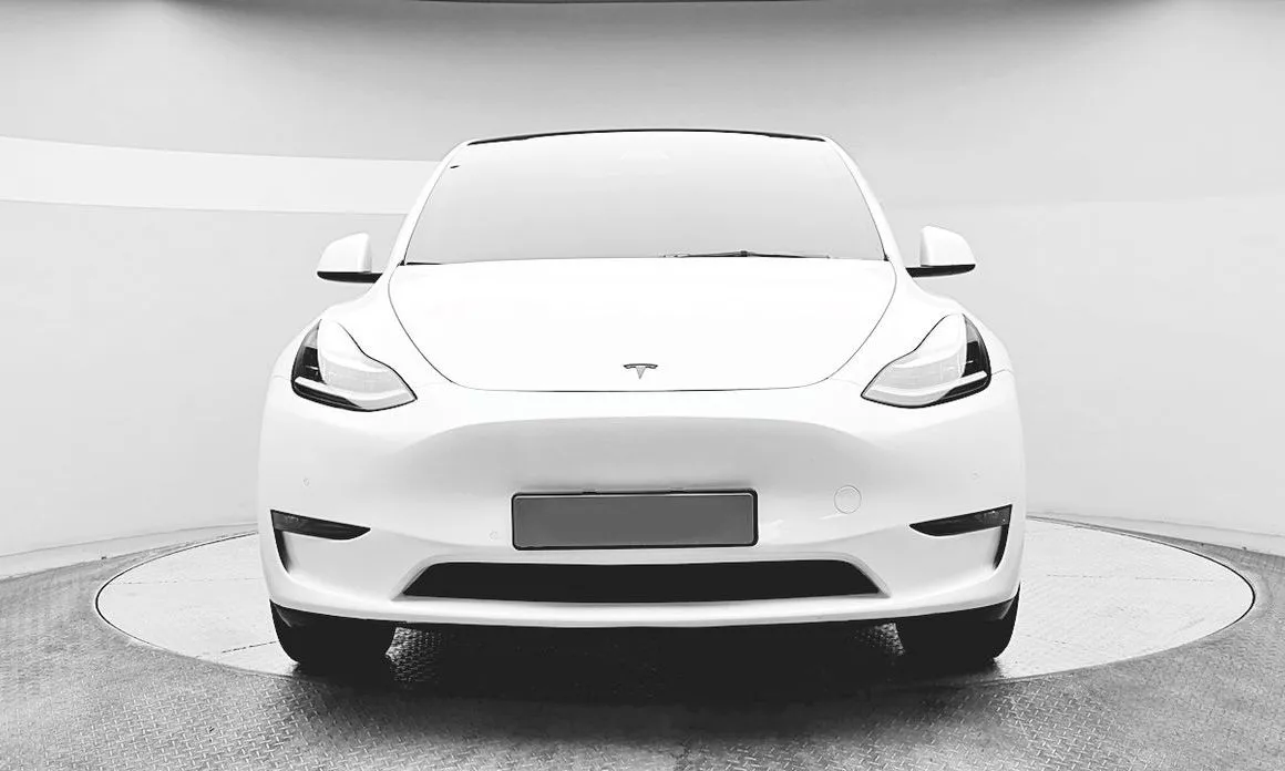 Tesla Model Y — фото 2