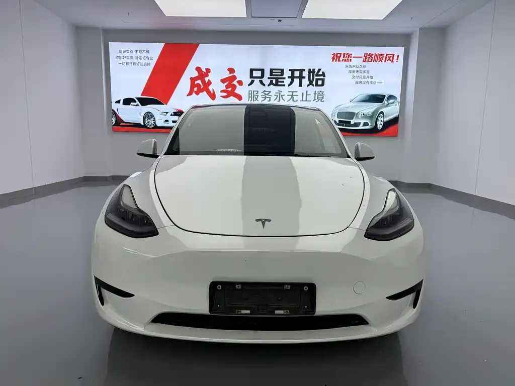 Tesla Model Y 2022 из CN, фото 7