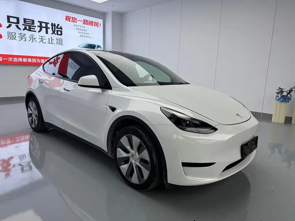 Tesla Model Y 2022 из CN, фото 8