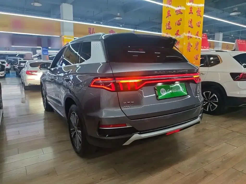 BYD Pro New Energy — фото 3