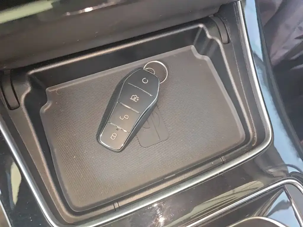 BYD MAX New Energy 2022 из CN, фото 9