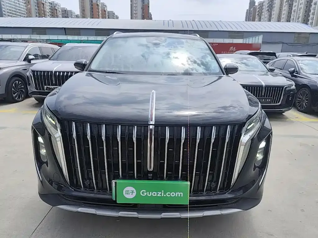 Hongqi HS7 PHEV 2024 из CN, фото 6