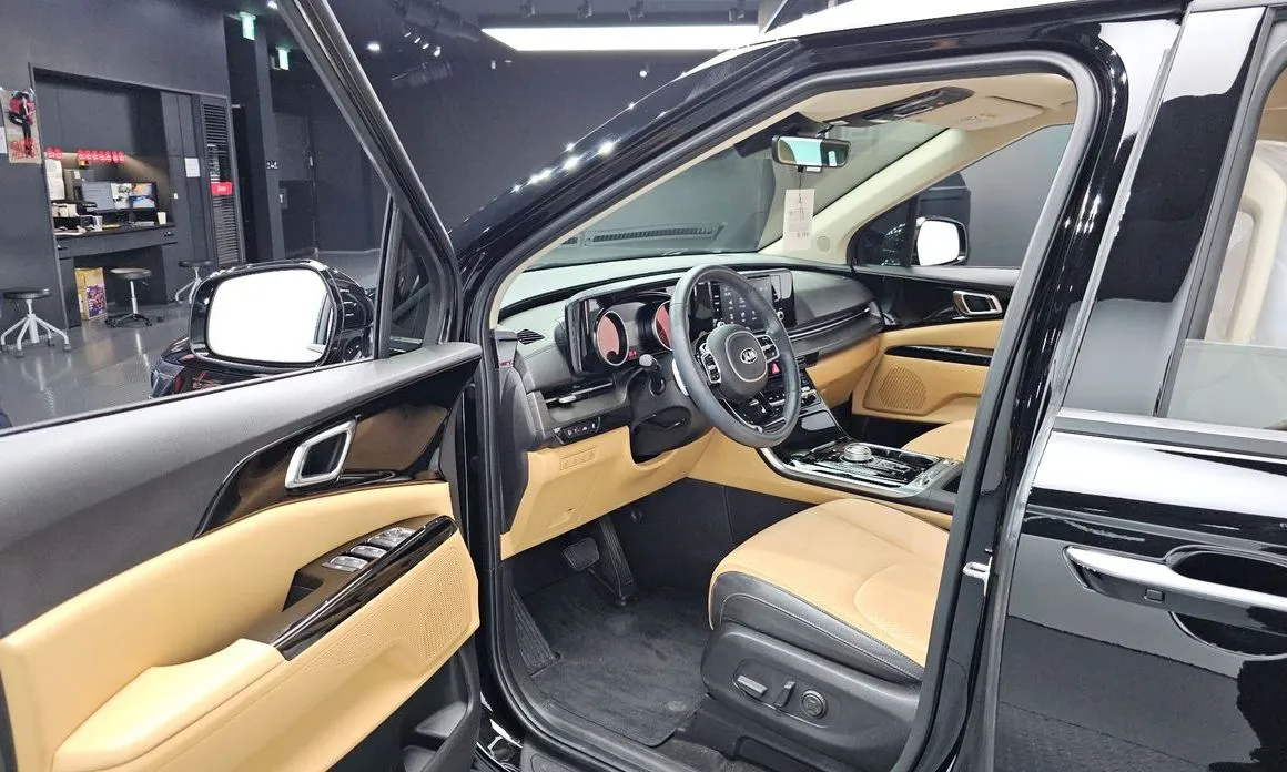 Kia Carnival — фото 10