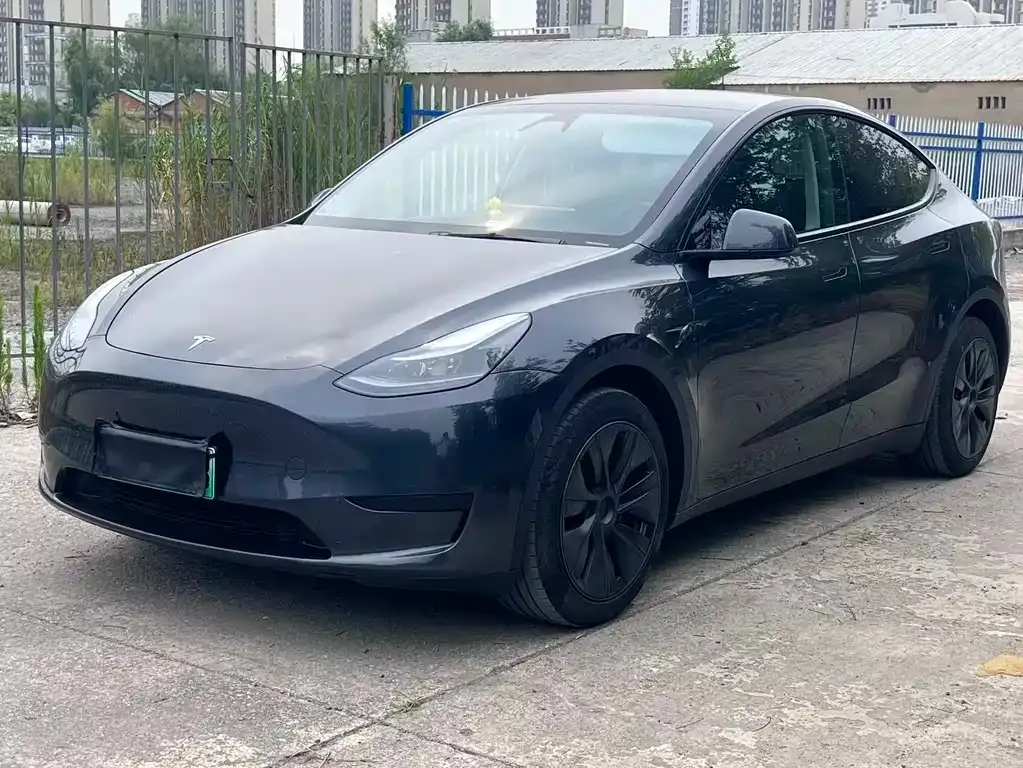 Tesla Model Y — фото 1