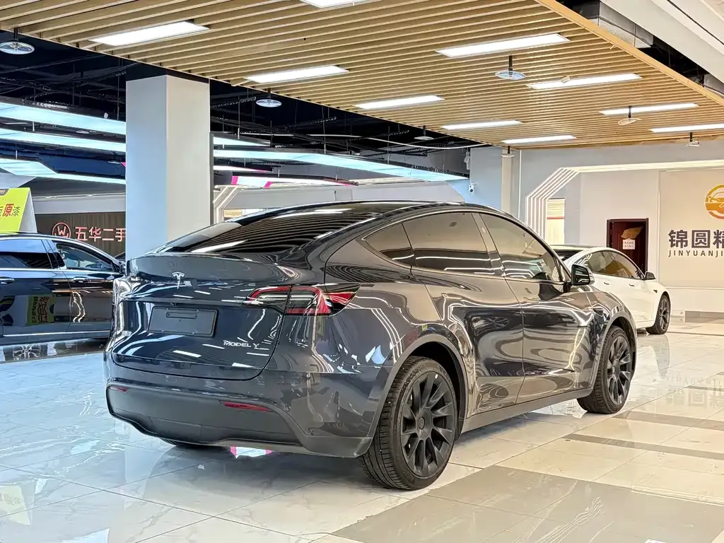 Tesla Model Y — фото 8