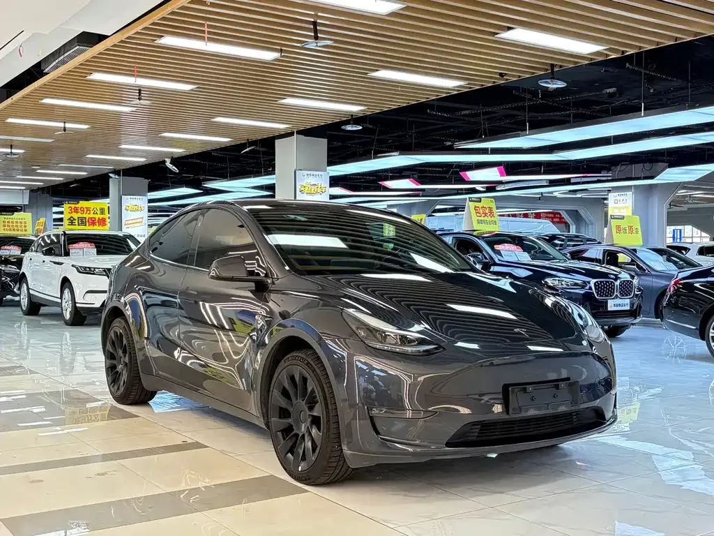 Tesla Model Y — фото 9