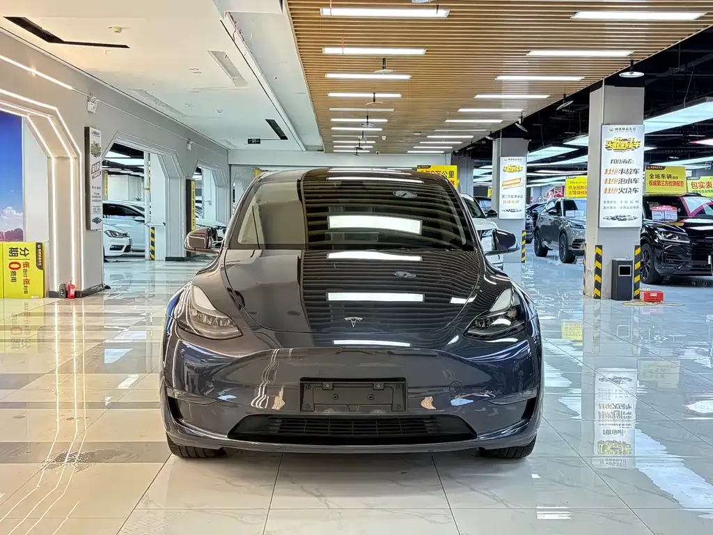 Tesla Model Y — фото 10