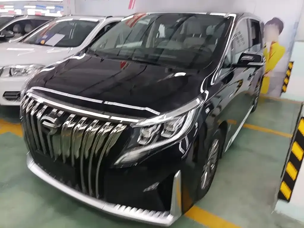 GAC Motor Trumpchi M8 — фото 3