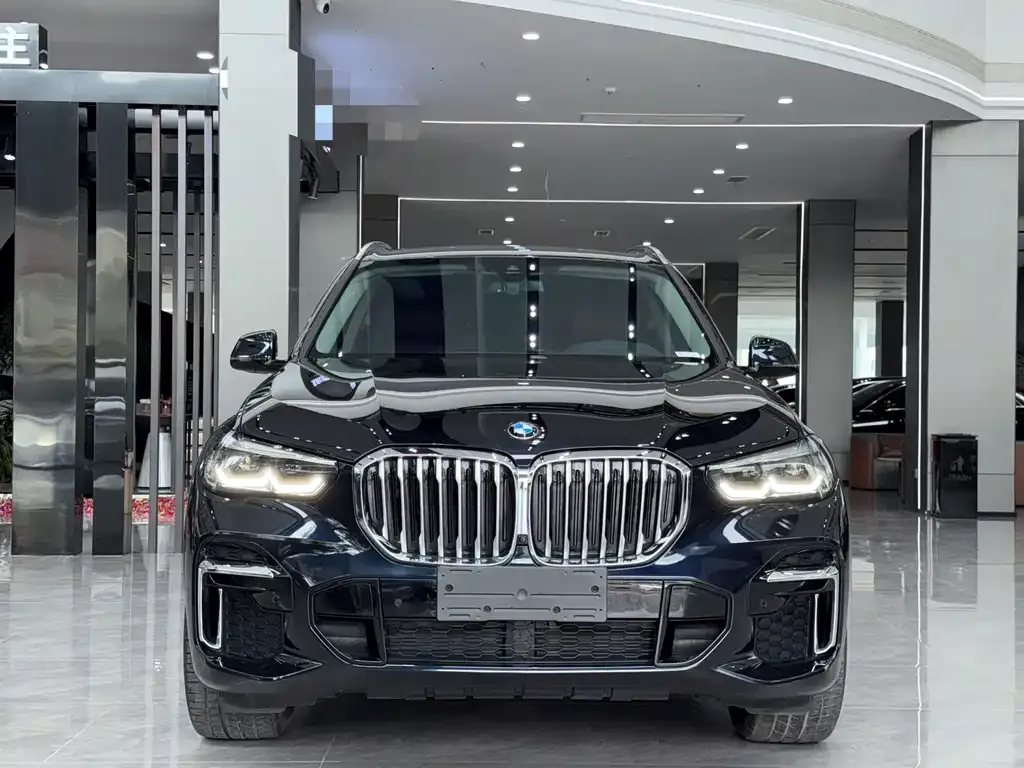 BMW X5 2023 из CN, фото 6