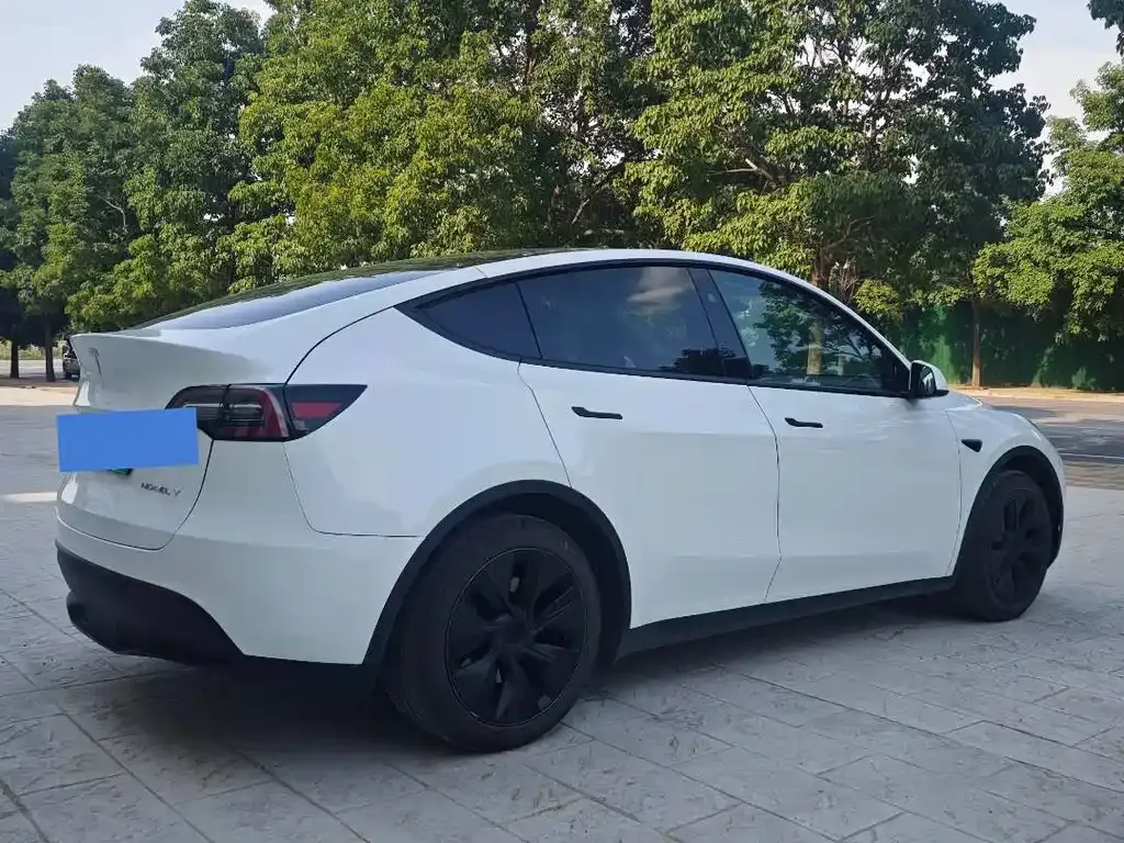 Tesla Model Y — фото 9