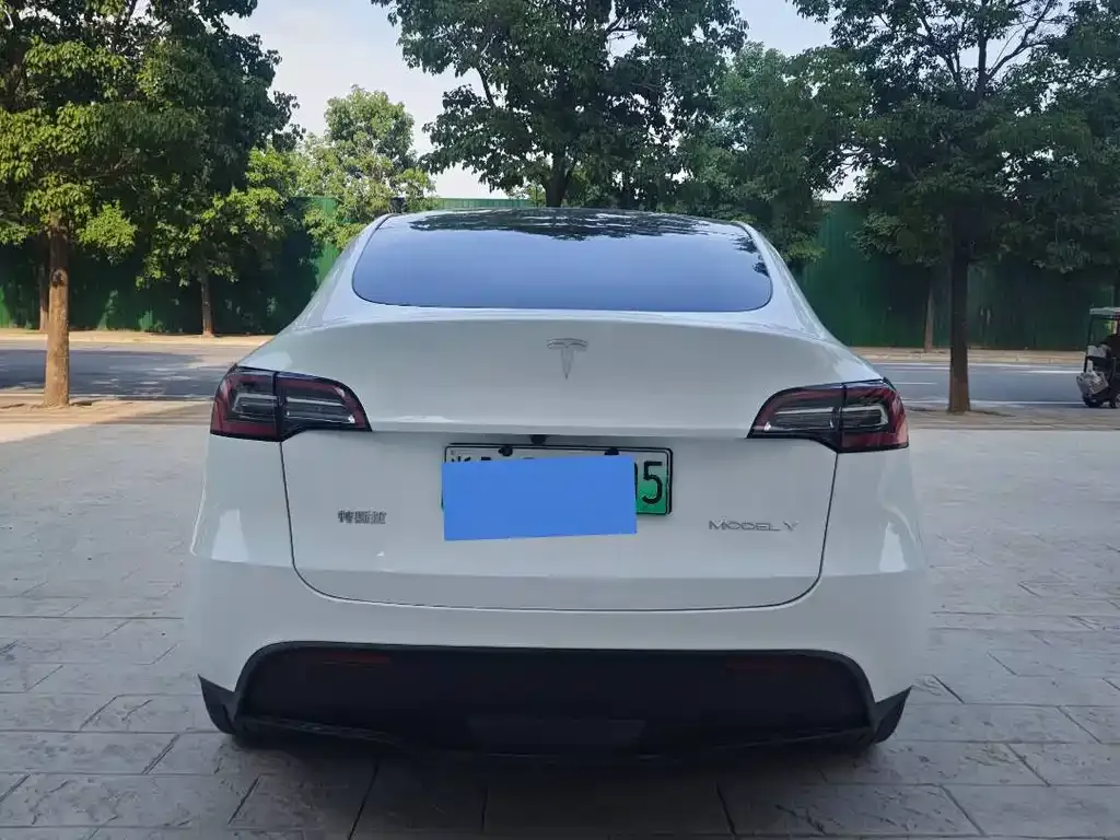 Tesla Model Y — фото 8