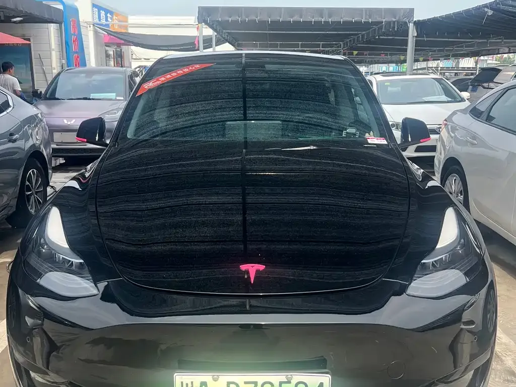 Tesla Model Y — фото 6