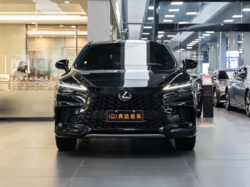 Lexus RX — фото 10