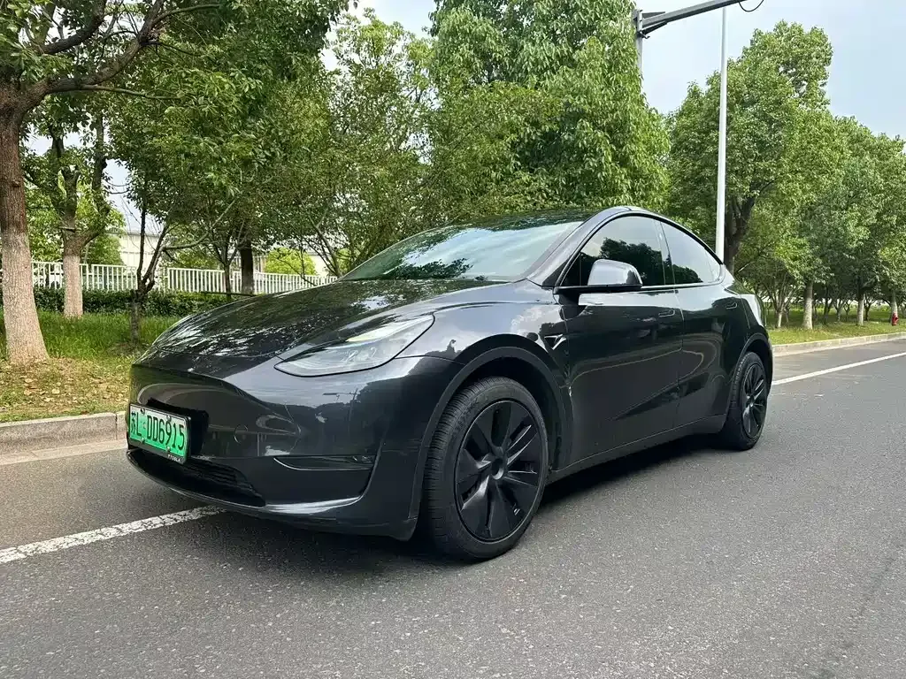 Tesla Model Y — фото 1
