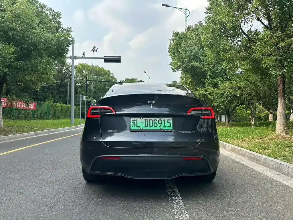 Tesla Model Y — фото 10