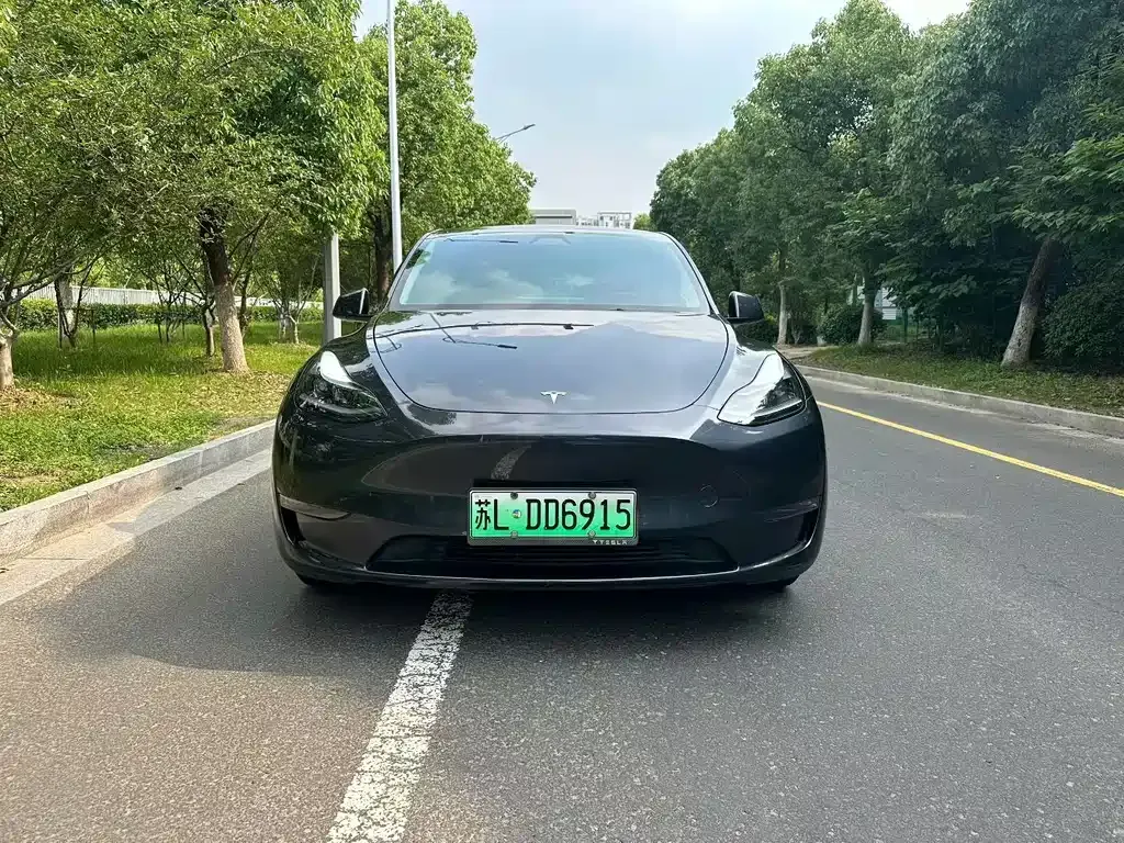 Tesla Model Y — фото 6