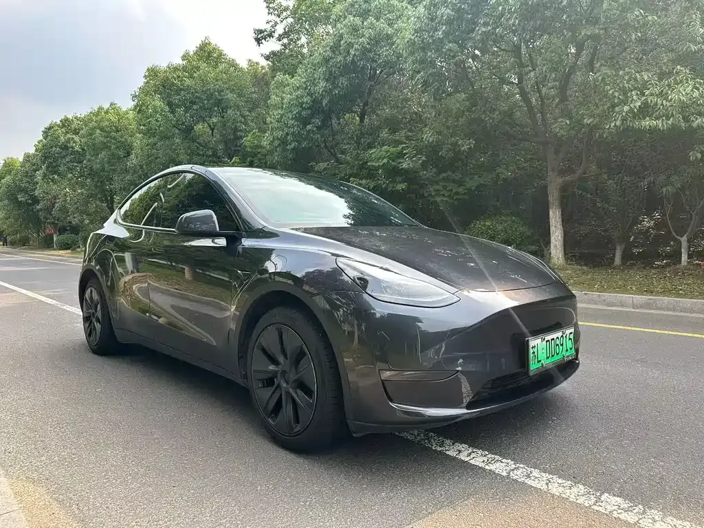 Tesla Model Y — фото 8