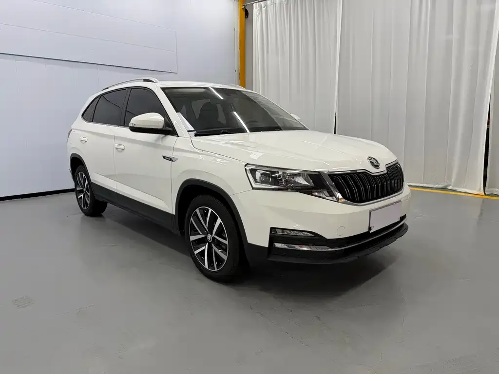 Skoda Kamiq — фото 7