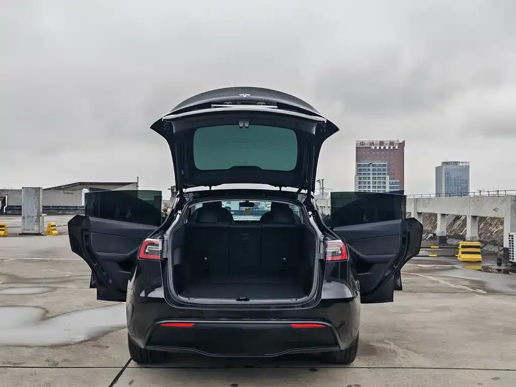 Tesla Model Y — фото 4