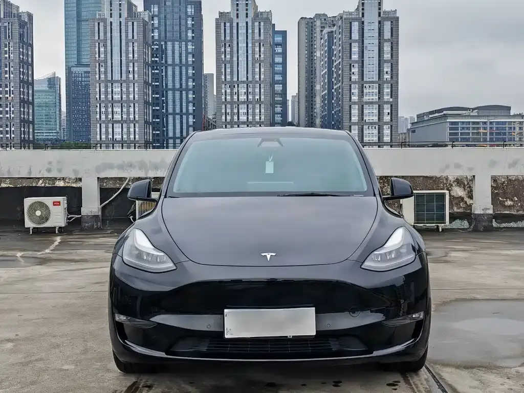 Tesla Model Y — фото 5